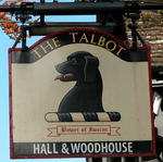 Black Talbot dog