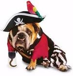 Bulldog pirate