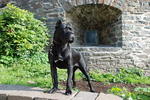 Cane Corso near the old building