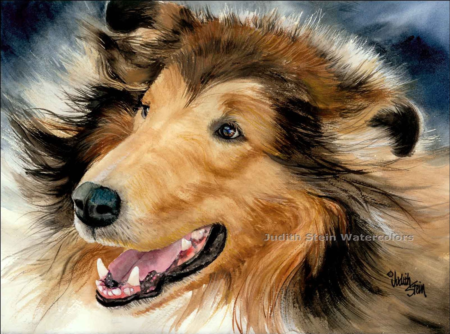  Drawing Collie Rough dog wallpaper