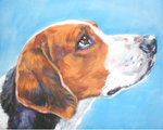 Drawn American Foxhound dog 