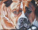 Drawn American Staffordshire Terrier