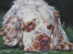 Drawn Clumber Spaniel dog 