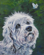 Drawn Dandie Dinmont Terrier 