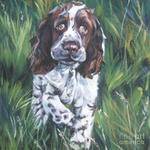 Drawn English Springer Spaniel 