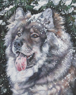 Drawn Eurasier dog 