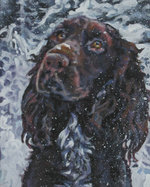 Drawn Field Spaniel