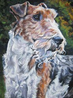 Drawn Fox Terrier,Wire dog