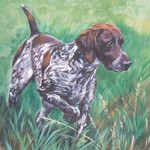 Drawn German Shorthaired Pointer dog