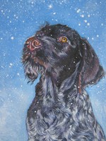 Drawn German Wirehaired Pointer dog