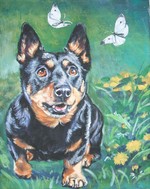 Drawn Lancashire Heeler dog