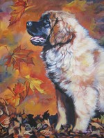 Drawn Leonberger