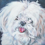 Drawn Maltese dog