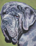 Drawn Neapolitan Mastiff