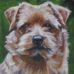 Drawn Norfolk Terrier