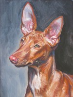 Drawn Pharaoh Hound