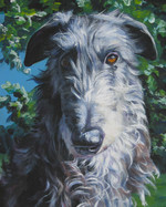 Drawn Scottish Deerhound 