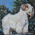 Drawn Sealyham Terrier dog 