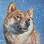 Drawn Shiba Inu