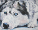 Drawn Siberian Husky dog 