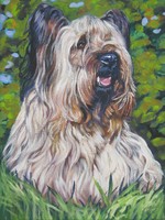 Drawn Skye Terrier