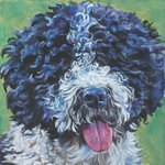 Drawn Spanish Water Dog