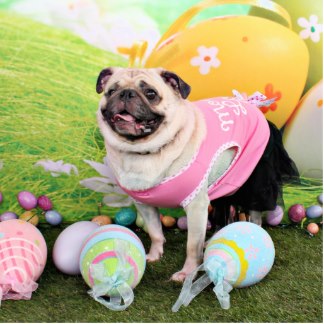 Easter Pug фото