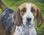 English Foxhound dog