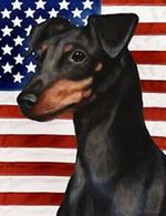 Flag Day Doberman Pinscher