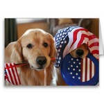 Flag Day Golden Retriever dogs