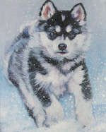 Funny drawn Alaskan Malamute dog