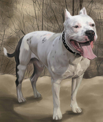 Gothic American Staffordshire Terrier