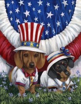 Independence Day Dachshund dogs фото