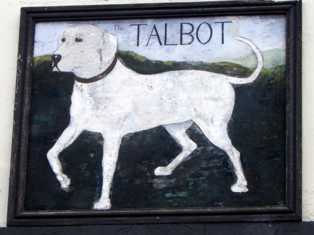 Image result for talbot dog